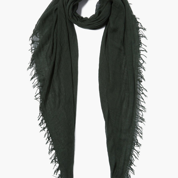 Kombu Green Cashmere and Silk Scarf Chan Luu