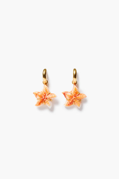 Starfish Hoop Earrings Orange