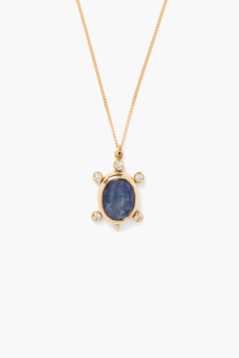 14k Turtle Necklace Kyanite